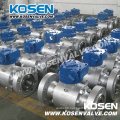 Flanged Forged Trunnion Ball Valves with Gear Box